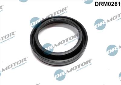 DR.MOTOR AUTOMOTIVE DRM0261 - tömítés, porlasztócsúcs-tartó MAZDA