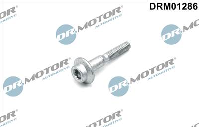 DR.MOTOR AUTOMOTIVE DRM01286 - Csavar, befecskendező fúvóka tartó AUDI SEAT SKODA VW