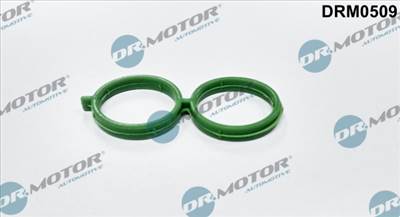 DR.MOTOR AUTOMOTIVE DRM0509 - Tömítés, üresjárati szabályzószelep-levegő ellátás FORD