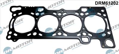 DR.MOTOR AUTOMOTIVE DRM61202 - hengerfej tömítés FIAT IVECO UAZ