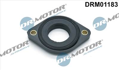 DR.MOTOR AUTOMOTIVE DRM01183 - Tömítés, bütyköstengely állítás BMW LAND ROVER