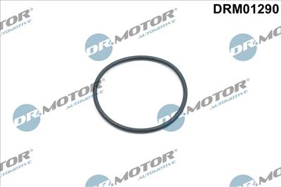 DR.MOTOR AUTOMOTIVE DRM01290 - Tömítőgyűrű, vezérműlánc feszítő LAND ROVER