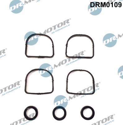 DR.MOTOR AUTOMOTIVE DRM0109 - szívókönyök tömítéskészlet BMW