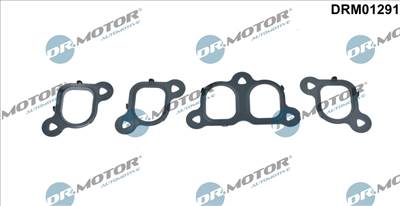 DR.MOTOR AUTOMOTIVE DRM01291 - szívókönyök tömítéskészlet VW