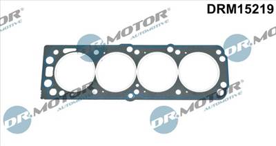 DR.MOTOR AUTOMOTIVE DRM15219 - hengerfej tömítés DAEWOO OPEL