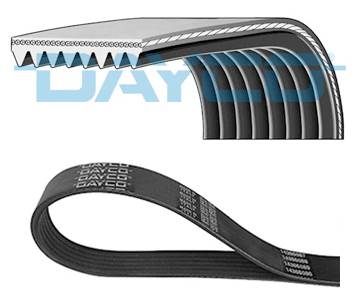 DAYCO 8PK1295 - hosszbordás szíj CADILLAC