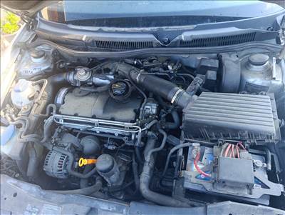 Volkswagen Golf IV, Volkswagen Bora VW golf 4/Bora 1.9 PD AXR motor 