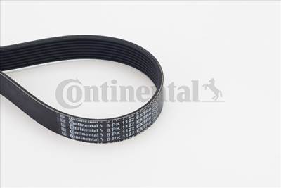 CONTINENTAL CTAM 8PK1122 EXTRA - hosszbordás szíj ALPINA BMW