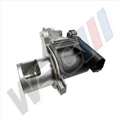 EGR Szelep Dacia Logan, Sandero 8200270177