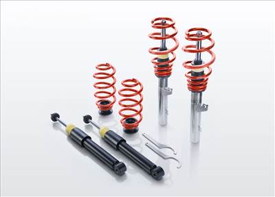 RENAULT CLIO III (BR0/1, CR0/1) PSS65-75-008-02-22 Pro-Street-S (40-70 mm/40-70 mm)