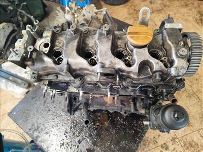 Chevrolet Epica 2.0 D - Motor (Fűzött blokk hengerfejjel) z20s10