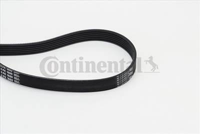 CONTINENTAL CTAM 6PK1660 - hosszbordás szíj AUDI BMW CITROËN FIAT HYUNDAI KIA LANCIA PEUGEOT RENAULT