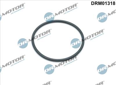 DR.MOTOR AUTOMOTIVE DRM01318 - olajszűrő ház tömítés JAGUAR