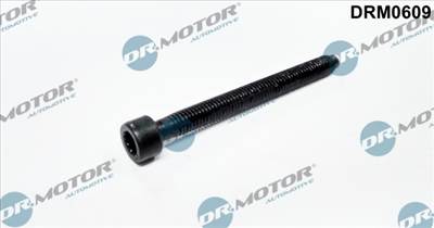 DR.MOTOR AUTOMOTIVE DRM0609 - Csavar, befecskendező fúvóka tartó AUDI FORD SEAT SKODA VW