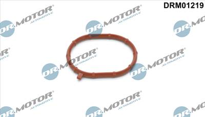 DR.MOTOR AUTOMOTIVE DRM01219 - Tömítőgyűrű, töltő AUDI