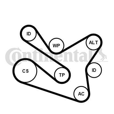 CONTINENTAL CTAM 7PK1570K1 - hosszbordás szíj készlet DACIA NISSAN RENAULT