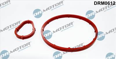 DR.MOTOR AUTOMOTIVE DRM0612 - Tömítéskészlet, vákuumszivattyú CITROËN FORD MAZDA PEUGEOT