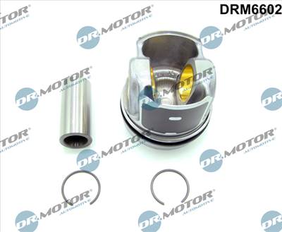 DR.MOTOR AUTOMOTIVE DRM6602 - fűzött blokk FORD