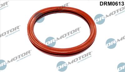 DR.MOTOR AUTOMOTIVE DRM0613 - Tömítés, fojtószelep ház DACIA RENAULT