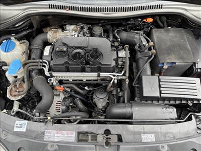 Volkswagen Golf V 1.9 TDI VW Golf V, Seat, Skoda, Audi 1.9 Pd Tdi BLS motor 