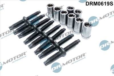 DR.MOTOR AUTOMOTIVE DRM0619S - Csavar, befecskendező fúvóka tartó CITROËN FORD PEUGEOT
