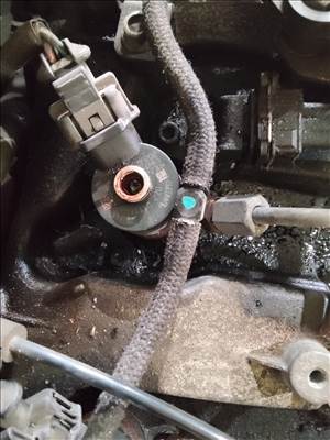 Chevrolet Captiva Opel Antara 2.0 Diesel injektor 0445110270