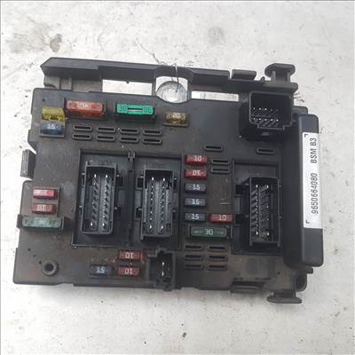 Peugeot 307  BSM alk 9650664080