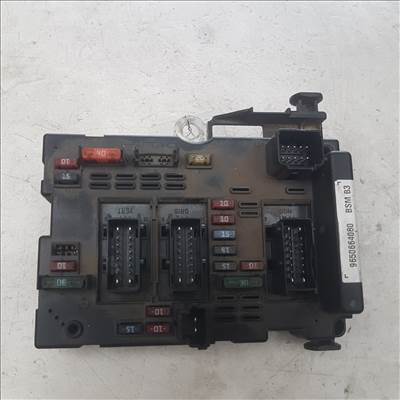 Peugeot 206  BSM alk 9650664080