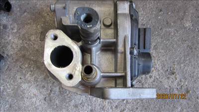 Volkswagen Golf V EGR szelep (A2C53025941)