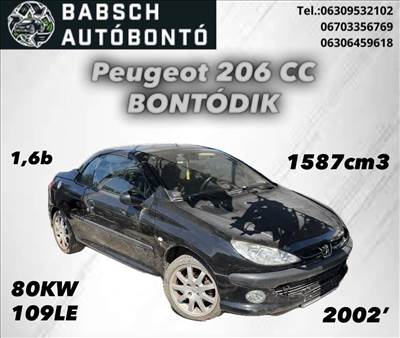 Peugeot 206 bontott alkatrészei 26/214