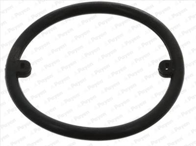 PAYEN KK5686 - Tömítőgyűrű, olajhűtő AUDI SEAT SKODA VW