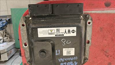 Nissan Navara (D40) Double Cab 2.5 dCi ECU  237105x06c