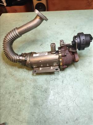 Renault Laguna 2.0 DCI EGR hűtő  876481v 880255x