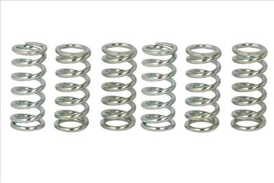 TRIUMPH SPEEDMASTER Kuplung rugó készlet TRW MEF115-6