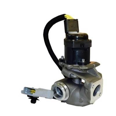 MAGNETI MARELLI 571822112031 - AGR-szelep FORD VOLVO
