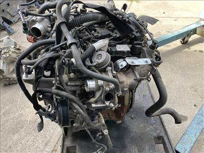 Ford Tourneo Connect M2GB motor láncszakadt Motoralkatrészek