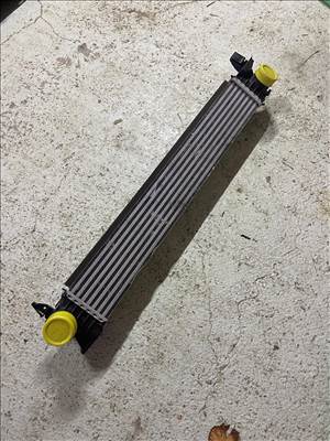 Fiat Ducato III intercooler  53144431