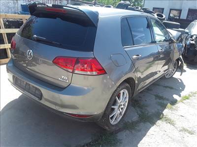 Volkswagen Golf VII 1.6 TDI BlueMotion Motor 