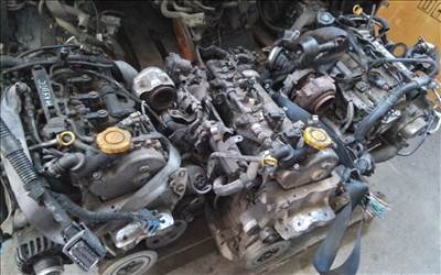 Opel Astra J 1.3 CDTI Hengerfej 