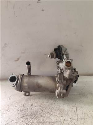 Ford Transit Custom Mk1, Ford Transit Mk8 EGR 