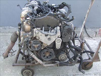 Ford 2.0 tdci Motor YLCC motor kod ecoblue