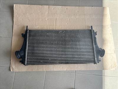 Opel Insignia A 2.0 Biturbó CDTI Intercooler 10882 13241751