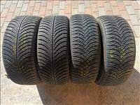  195/5015" használt Goodyear négyévszakos gumi gumi