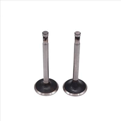 SZELEP GRT. 41163+164