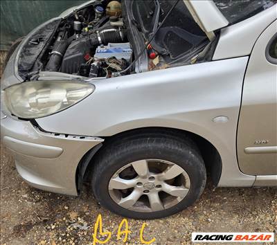 Peugeot 307 Sárvédő első 
