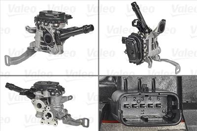 VALEO 700455 - AGR-szelep CITROËN DS OPEL PEUGEOT TOYOTA VAUXHALL