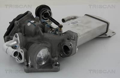 TRISCAN 8813 29303 - AGR-szelep VW