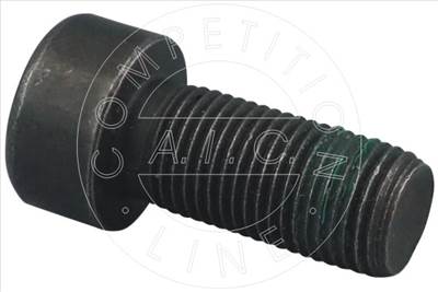 AIC 57365 - csavar AUDI FORD SEAT SKODA VW